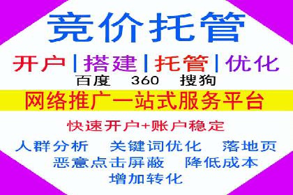 百度竞价策略解析：案例分析及优化建议